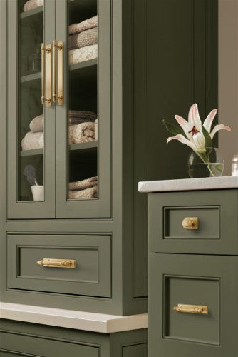 Maymont Zinc Champagne Bronze Cabinet Backplate 30