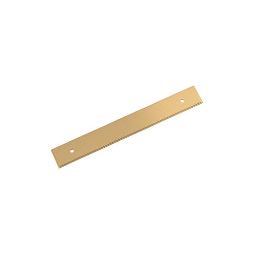 Maymont Zinc Champagne Bronze Cabinet Backplate 7