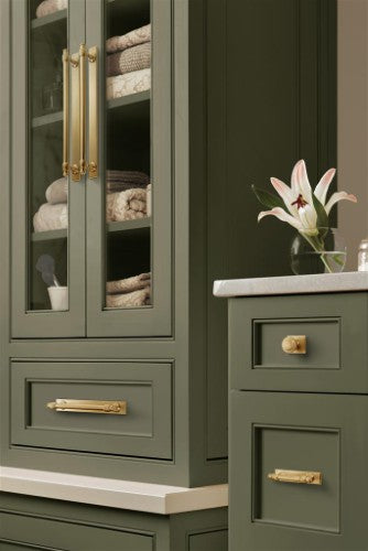 Maymont Zinc Champagne Bronze Cabinet Backplate 27
