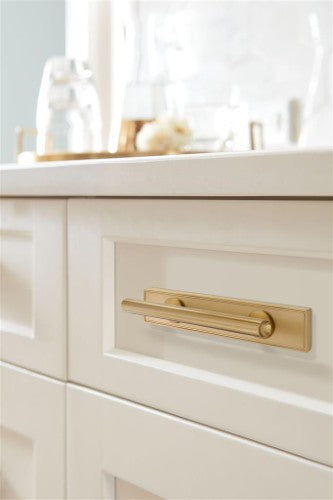 Thoreau Zinc Champagne Bronze Cabinet Backplate 18