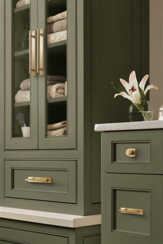Thoreau Zinc Champagne Bronze Cabinet Backplate 20
