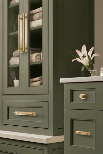 Thoreau Zinc Champagne Bronze Cabinet Backplate 25