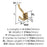 Aliso Zinc Champagne Bronze Hook 2