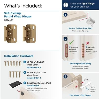 Decorative Hinges Steel Champagne Bronze Cabinet Hinge 3