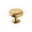 Exceed Zinc Champagne Bronze Cabinet Knob 1