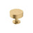 Radius Stainless Steel Champagne Bronze Cabinet Knob 1