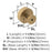 Radius Stainless Steel Champagne Bronze Cabinet Knob 2
