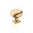 Surpass Zinc Champagne Bronze Cabinet Knob 1