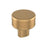 Bronx Zinc Champagne Bronze Cabinet Knob 1