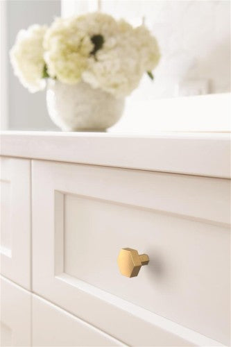 Caliber Zinc Champagne Bronze Cabinet Knob 4