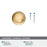 Cowrie Zinc Champagne Bronze Cabinet Knob 3