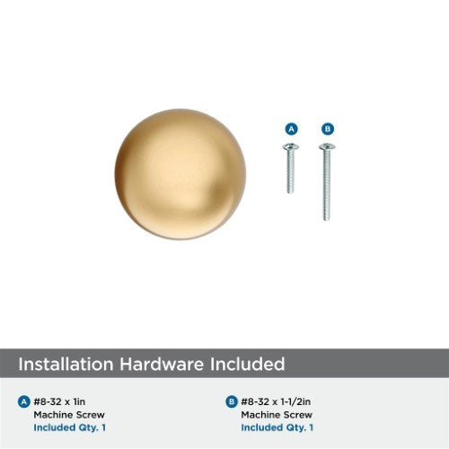 Cowrie Zinc Champagne Bronze Cabinet Knob 3