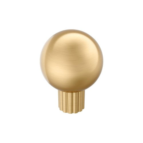 Cowrie Zinc Champagne Bronze Cabinet Knob 1