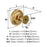 Enlivity Zinc Champagne Bronze Cabinet Knob 2
