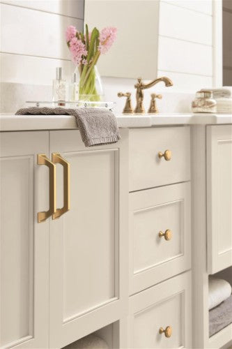 Exceed Zinc Champagne Bronze Cabinet Knob 4