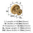 Exceed Zinc Champagne Bronze Cabinet Knob 2
