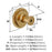 Farewind Zinc Champagne Bronze Cabinet Knob 3