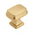 Revitalize Zinc Champagne Bronze Cabinet Knob 1