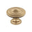 Inspirations Zinc Champagne Bronze Cabinet Knob 1