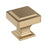 Eleva Zinc Champagne Bronze Cabinet Knob 1