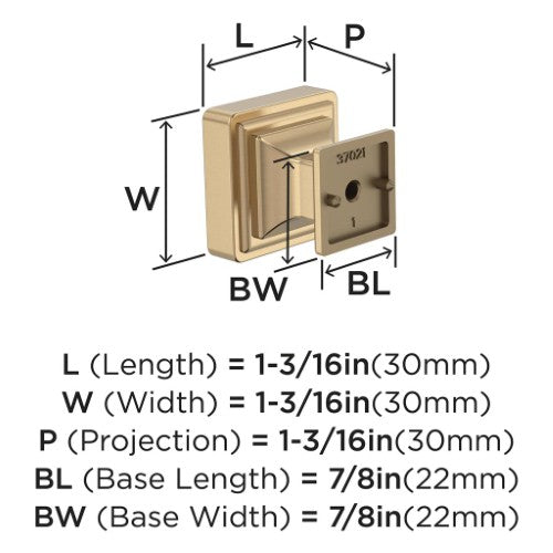 Eleva Zinc Champagne Bronze Cabinet Knob 2