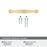 Inspirations Zinc Champagne Bronze Cabinet Pull 9