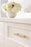 Caliber Zinc Champagne Bronze Cabinet Pull 25