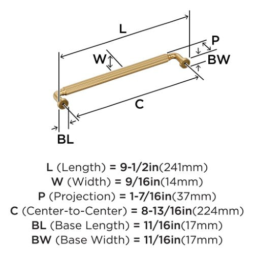 Cowrie Zinc Champagne Bronze Cabinet Pull 16