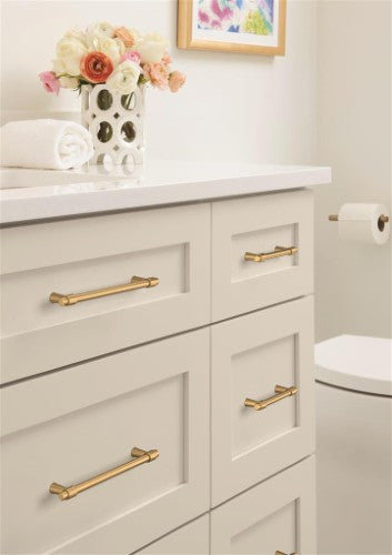 Destine Zinc Champagne Bronze Cabinet Pull 20