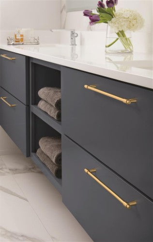 Destine Zinc Champagne Bronze Cabinet Pull 22