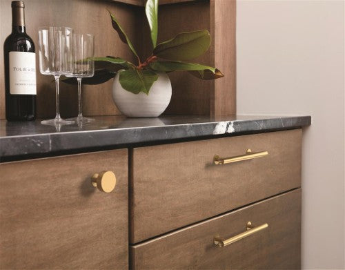 Radius Stainless Steel Champagne Bronze Cabinet Pull 20