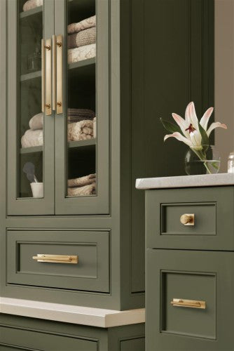 Radius Stainless Steel Champagne Bronze Cabinet Pull 26