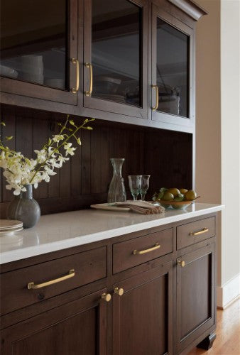 Surpass Zinc Champagne Bronze Cabinet Pull 19