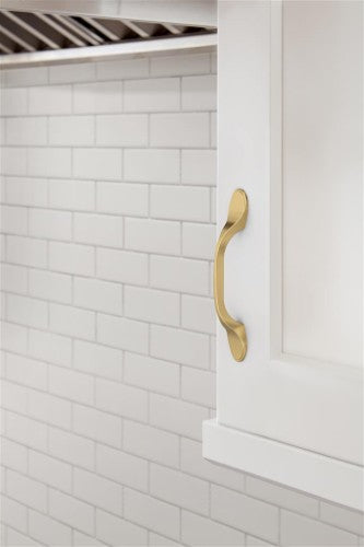 Ravino Zinc Champagne Bronze Cabinet Pull 10