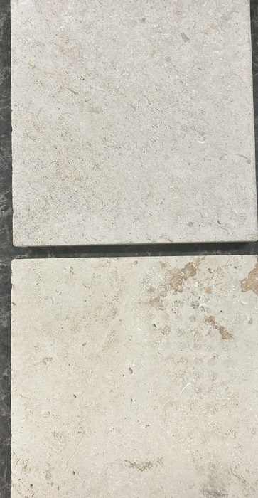 Coral Stone Shellstone Tile Unfilled & Sawcut 2