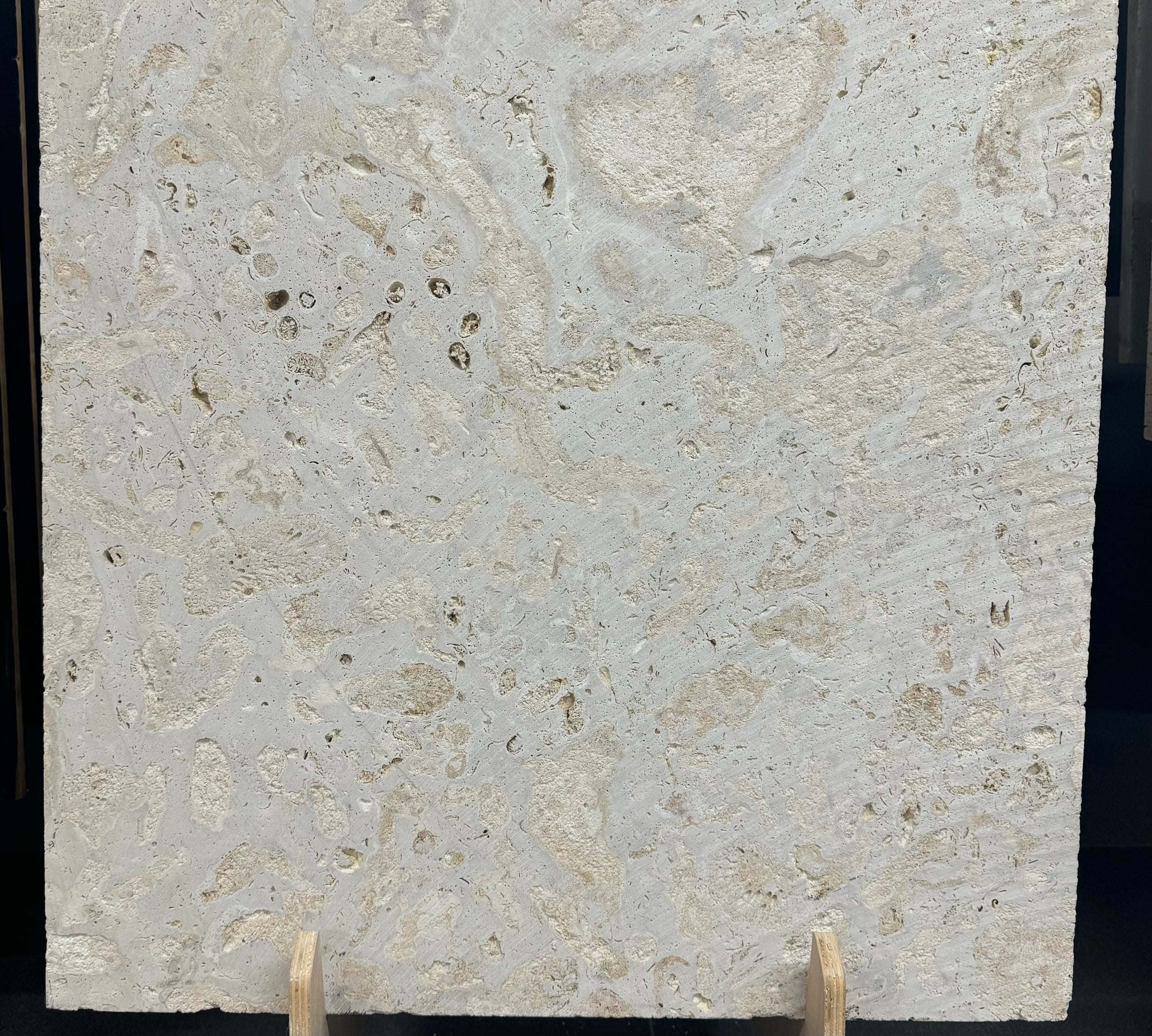 Saban Shellstone Coral Stone Shellstone Tile - Sawcut | Lowest Price — Stone & Tile ...