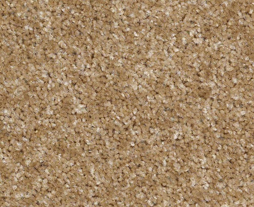 Elizabethton Nylon Country Road 730 Area Rug S005U Textured 1