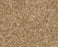 Time Swept Nylon Country Road 730 Area Rug LR060 Textured 1