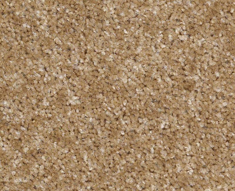 Time Swept Nylon Country Road 730 Area Rug LR060 Textured 1