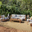 Courtyard Jute  Polypropylene & Polyester