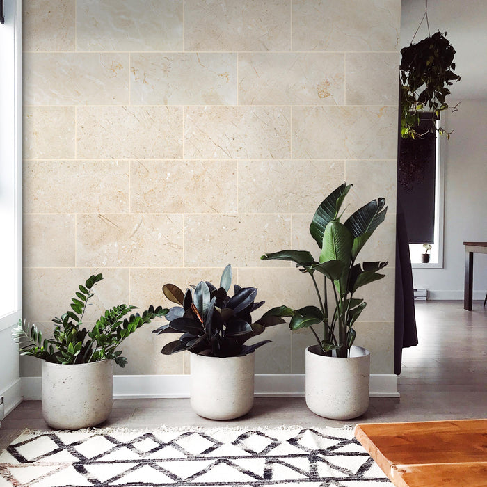 Crema Marfil Classico Marble Tile - Honed 4