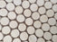 Crema Marfil Marble Mosaic Honed 3