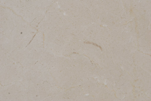 Full Tile Sample - Crema Marfil Select Marble Tile - 24" x 24" x 5/8" Honed