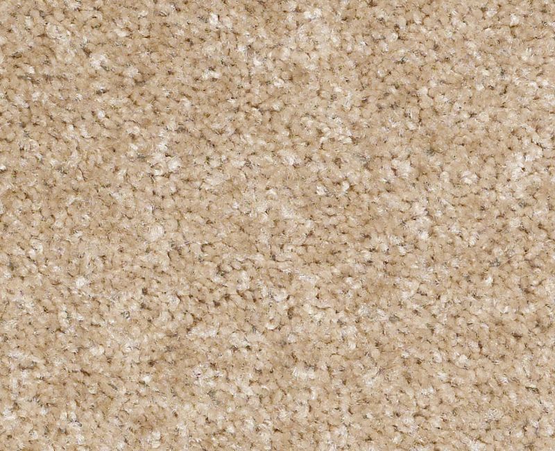 Atlanta Nylon Crisp Linen 702 Area Rug HF753 Textured 1