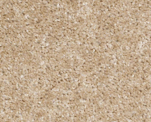 Victory Nylon Crisp Linen 00702 Area Rug E0590 Textured 1