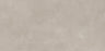 Full Tile Sample - Rondine Cruda Tortora R10B Porcelain Tile - 24" x 48" x 3/8" Matte
