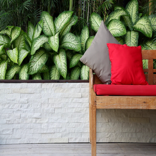 Textures Sandstone Sandstone Mint