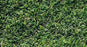 Cypress Point Field Green / Clover Green Polyurethane 260006-ST-cut