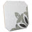 Riviera Porcelain Octagon Verde with Taco Nero Tile Matte 10