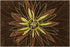 Wool 7501 Area Rug Textured 2